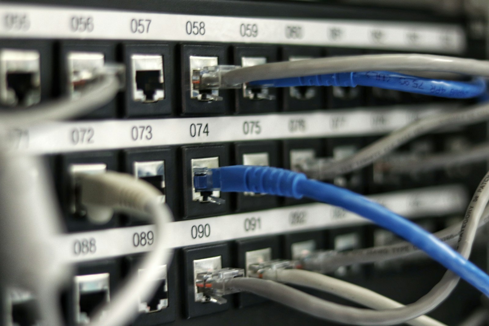 Close-up of network patch panel cabling representing AI application and API security